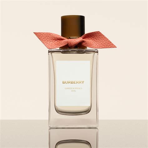 garden rose burberry|burberry rose perfume.